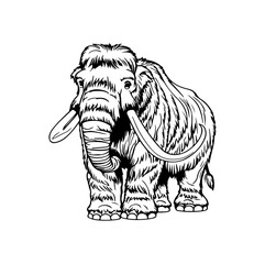 vector of an elephant