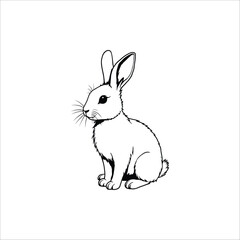 Obraz premium Cute vector illustration of a fluffy white baby pet rabbit or bunny for Easter with fun cartoon style