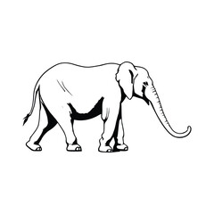 Elephant cartoon vector illustration isolated on white background, depicting a large wild mammal