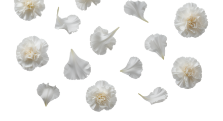 Delicate white flower petals and small blossoms gently scattered across a clean, bright background, evoking a sense of purity, freshness, and natural elegance perfect for serene designs