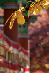 선운사 풍경 이야기