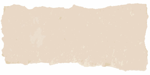 Fototapeta premium A torn piece of aged beige paper with a textured surface and irregular edges