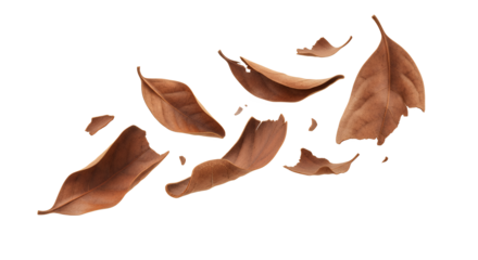 Brown dried leaves falling and swirling in a gentle breeze, conveying autumn or a change of seasons