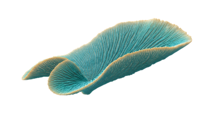 Enchanting forest scene illuminated by golden sunbeams, with vibrant green leaves gracefully falling through the warm, ethereal light, creating a mystical natural ambiance