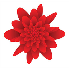 Flower red petals graphic