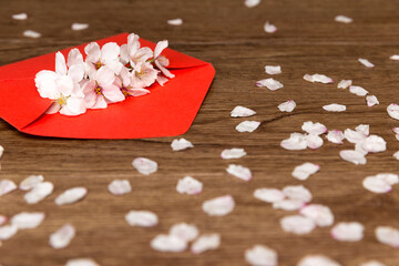 Cherry blossoms carrying the news of spring