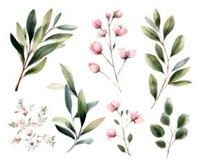 Delicate watercolor botanical illustrations of green leaves and pink blossoms isolated on transparent background