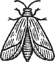 Stipple vector moth illustration top view, vintage insect engraving for entomology, occult symbol, tattoo or logo design
