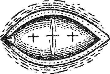 Obraz premium Mystical all-seeing eye with vertical pupil stipple vector, esoteric symbol for occult, spiritual, or tattoo design