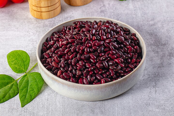 Raw dry uncooked red beans