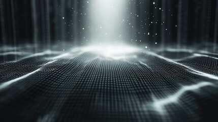 Digital data network connection transmitting information and light