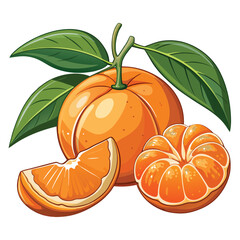 An orange fruit with leaves alongside segment and a half section looks very fresh