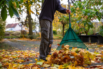 Laub zu Hause zusammenfegen. Viel Arbeit im Herbst.