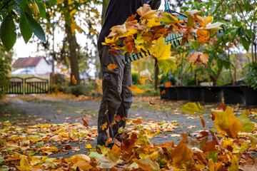 Laub Bl&auml;tter im Herbst mit Schwung auf einen Haufen schmei&szlig;en