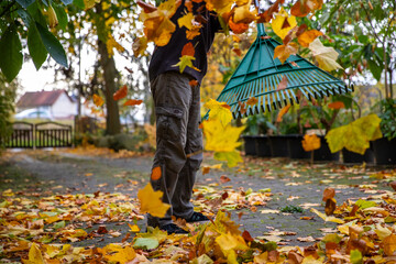 Laub Bl&auml;tter im Herbst mit Schwung auf einen Haufen schmei&szlig;en