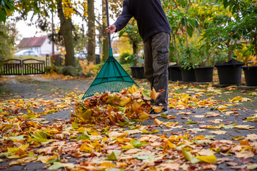 Laub zu Hause zusammenfegen. Viel Arbeit im Herbst.