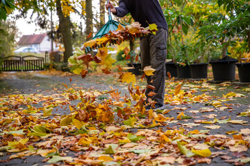 Laub zu Hause zusammenfegen. Viel Arbeit im Herbst.