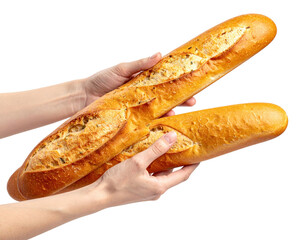 woman hand holding fresh French baguette for baked bread bakery