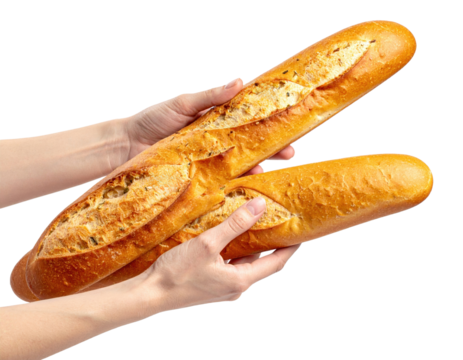 woman hand holding fresh French baguette for baked bread bakery
