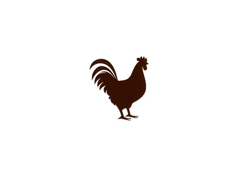 A chicken is standing on a white background