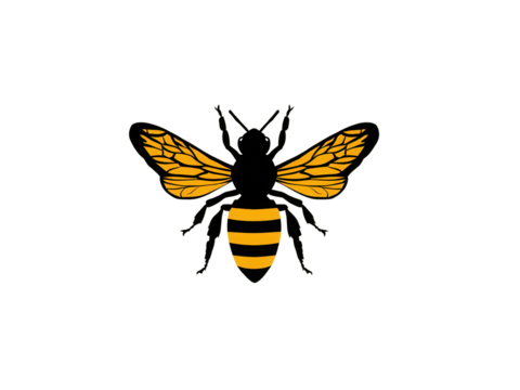 A black and yellow bee with its wings spread out