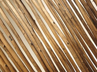 wood texture background