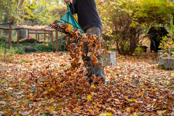 Ein Man fegt den Garten mit einem Rechen
