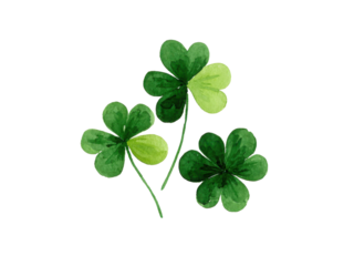 Three green clovers are shown in a white background