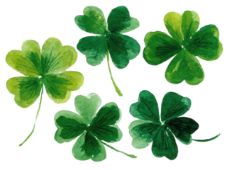 A set of green clovers with a white background