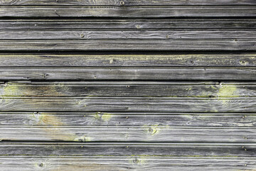 The old wood texture with natural patterns
