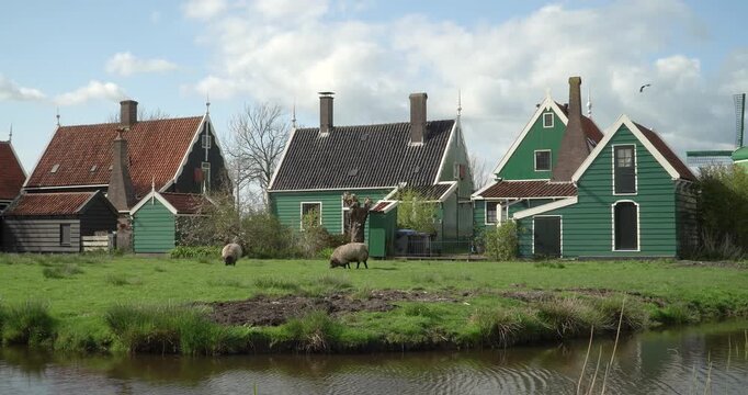 Historic houses in the Zaanse Schans quarter, Netherlands