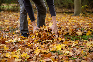 Blätter im Herbst mit den Händen greifen 