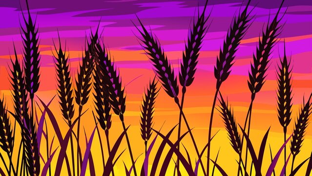 Silhouette of wheat stalks against a vibrant sunset sky