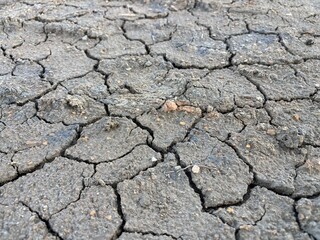 Close up of Land of drought