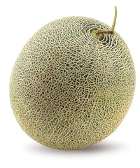 melon isolated on white background. fresh melon. clipping path