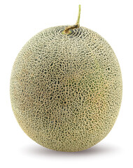 melon isolated on white background. fresh melon. clipping path