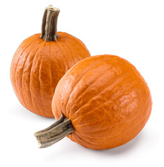 pumpkin isolated on white background. clipping path