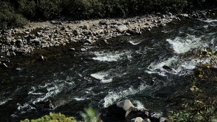 creek, stream, river in the nature