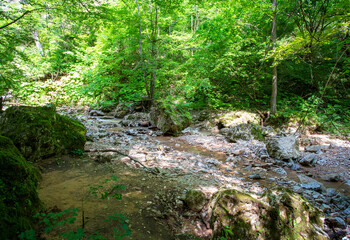 A narrow gorge through which a river flows, the sun's rays break through the foliage