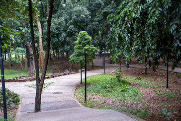 Peaceful park scene with walking paths winding through lush green trees and natural landscaping, perfect for recreation and relaxation.
