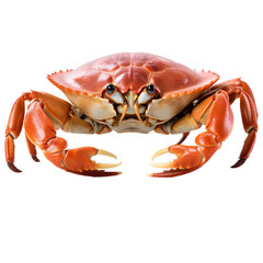 red crab ; isolated on a transparent background