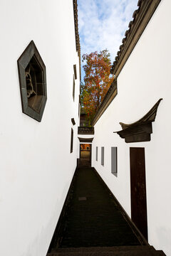 Nanjing Laomendong old town Huizhou-style architecture and Chinese tallow tree autumn scenery, China