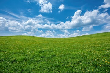 Fototapeta premium Expansive meadow under a vibrant sky