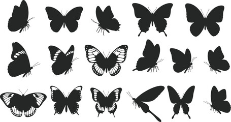 Obraz premium Collection of diverse black butterfly silhouettes with detailed wing patterns and textures on a white background