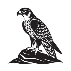 Hawk Cliff Sentinel Sky Hunter Silhouette