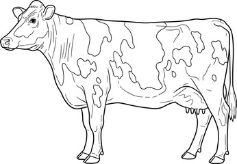 Black and white line art illustration of a standing dairy cow with spotted coat, simple vector design for coloring books, educational materials, and farm-themed graphics.