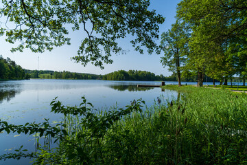 A peaceful waterside park with a mirror-like lake that reflects the surrounding trees and sky. Perfect natural landscape image showcasing a serene summer environment and outdoor recreation.