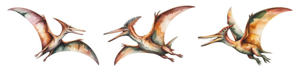 Fototapeta premium Vibrant Trio of Flying Pterodactyl Dinosaurs in Dynamic Poses with Colorful Wings and Beaks, Isolated on Transparent and White Background