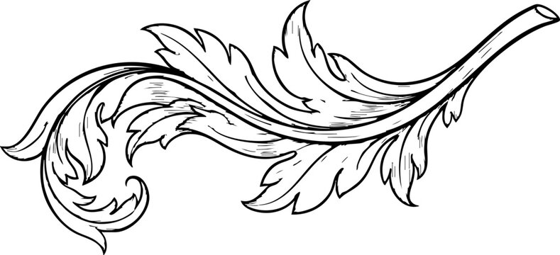 Elegant ornamental flourish design, a classic decorative element adding sophistication to any project