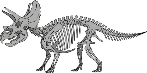 Triceratops Skeleton Illustration Prehistoric Anatomy Depicted